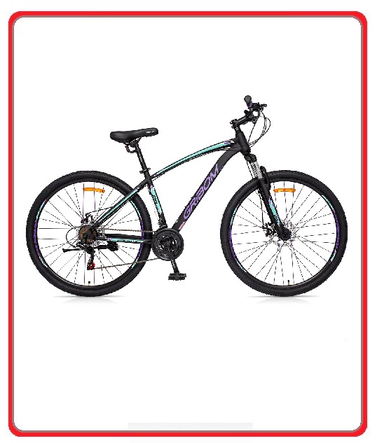 BICICLETA HARZ CROSS ROD.29 Click Hogar